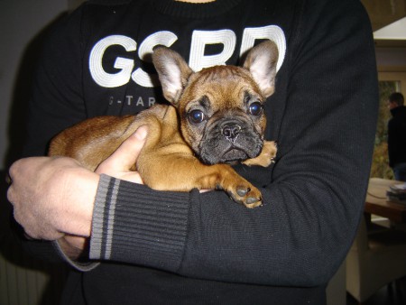 Baby Lilo van Nick en Marloes